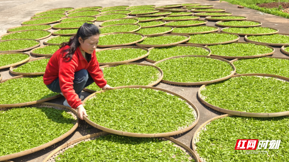 微信图片_20260408170305_414_294.jpg 微信图片_20260408170305_414_294.jpg