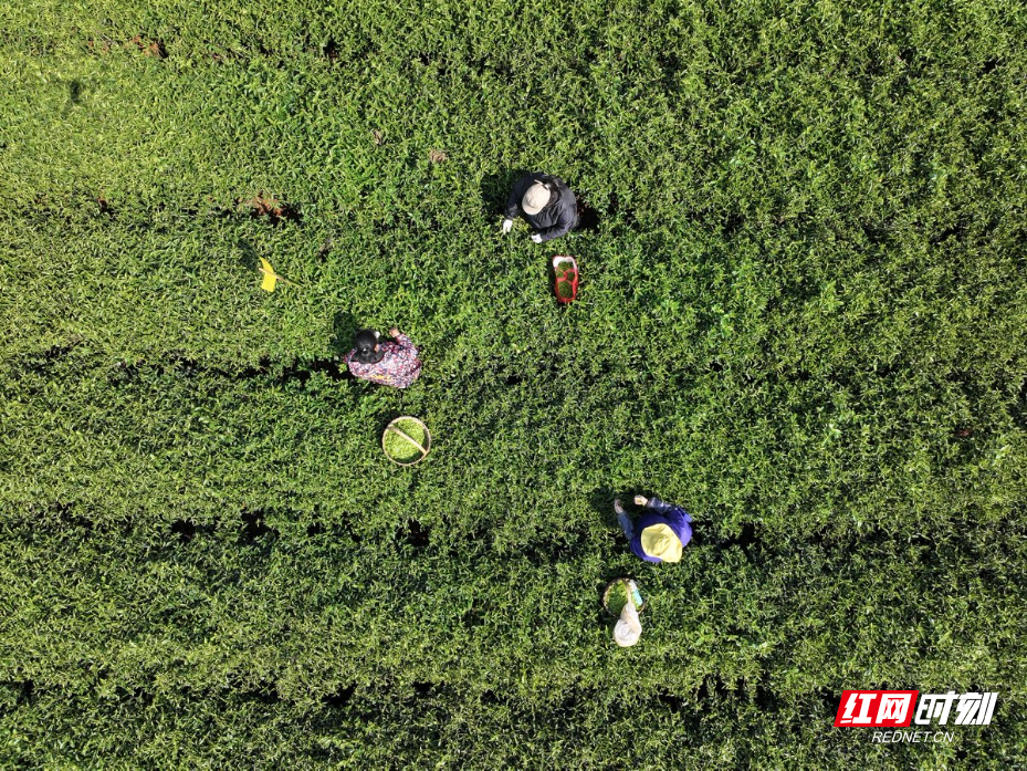 cd77a2c92k93f2b7f9a2234e49a97162.jpg cd77a2c92k93f2b7f9a2234e49a97162.jpg