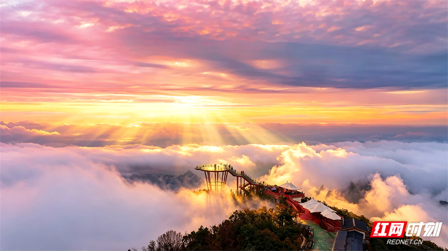 超美！张家界七星山春日云海，每一张都是顶级壁纸（图）