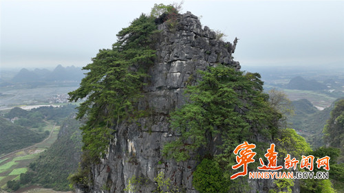 宁远：石楼峰上石枞秀 千年苍劲映九嶷2_副本_副本500.jpg