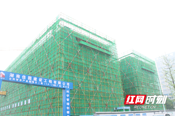 IMG_3451.JPG IMG_3451.JPG