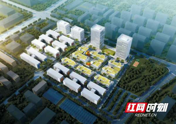 微信图片_20260408141238_958_14.jpg 微信图片_20260408141238_958_14.jpg