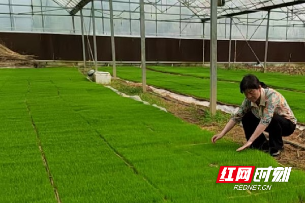 微信图片_20260409125222_2630_1198.jpg 微信图片_20260409125222_2630_1198.jpg