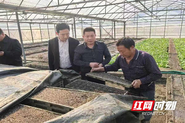 微信图片_20260409093059_2605_1198.jpg 微信图片_20260409093059_2605_1198.jpg