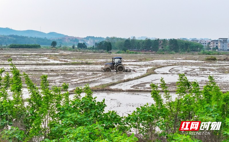 湖南新田:春和景明忙春耕3.jpg