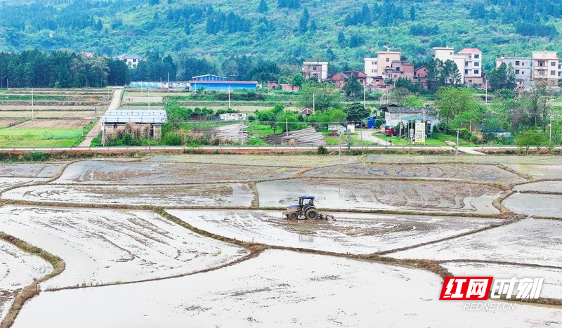 湖南新田:春和景明忙春耕5.jpg