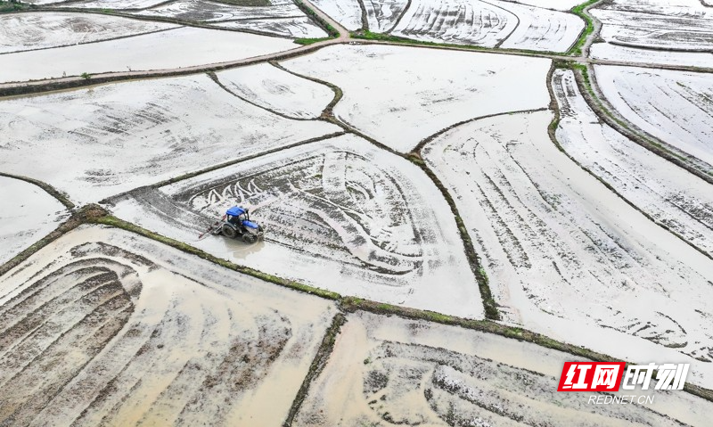 湖南新田:春和景明忙春耕7.jpg