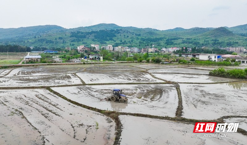 湖南新田:春和景明忙春耕8.jpg