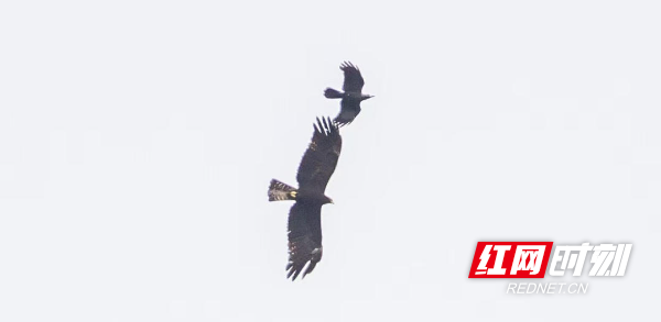 ScreenShot_2026-04-09_102108_004.jpg ScreenShot_2026-04-09_102108_004.jpg