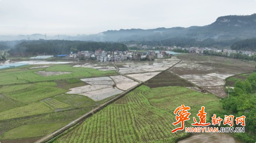 宁远:机械化插秧抢农时 春耕生产按下“快进键”01_副本500.jpg 宁远:机械化插秧抢农时 春耕生产按下“快进键”01_副本500.jpg