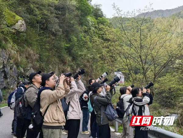 ScreenShot_2026-04-09_101947_947.jpg ScreenShot_2026-04-09_101947_947.jpg