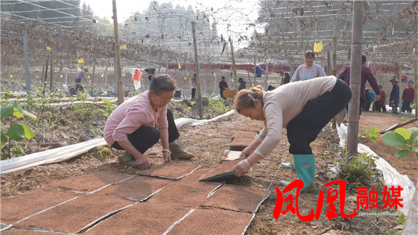 Still0410_00016.jpg Still0410_00016.jpg