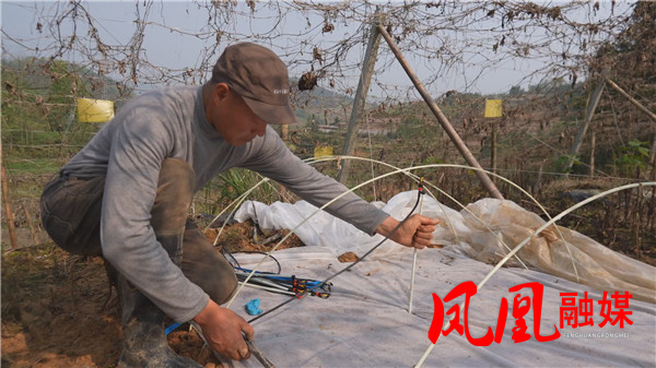 Still0410_00026.jpg Still0410_00026.jpg