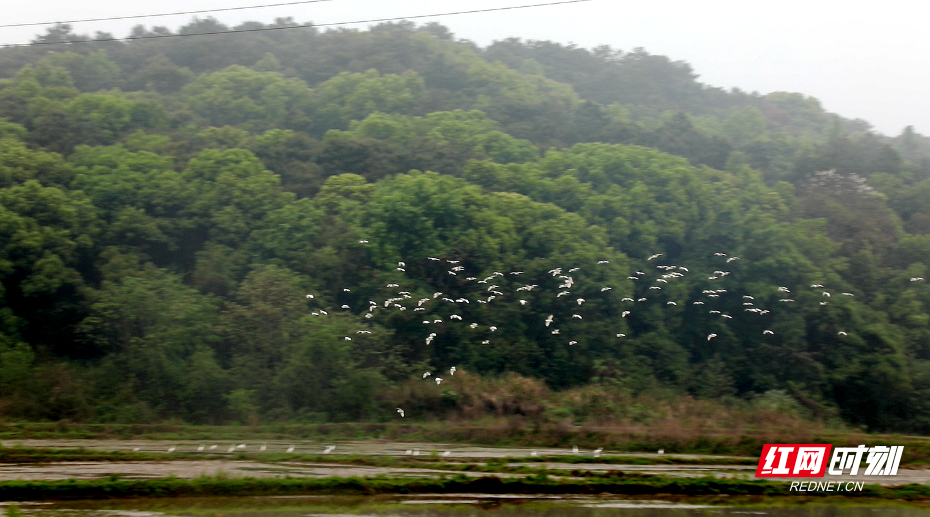 4_副本.png 4_副本.png