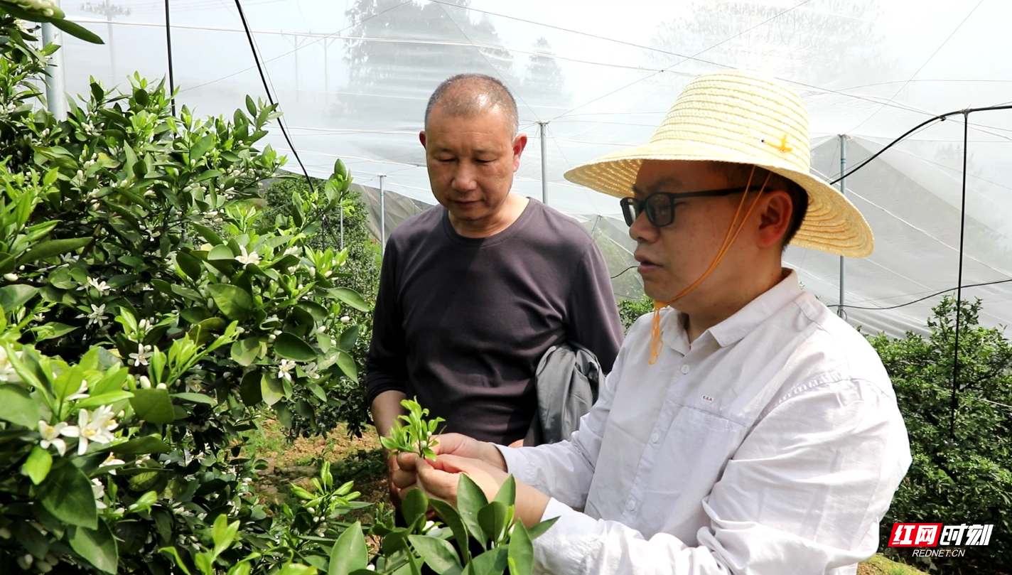 微信图片_20260410144407_21_26.jpg 微信图片_20260410144407_21_26.jpg