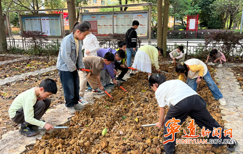 宁远县莲花小学开展劳动实践基地春季种植活动2_副本500.png