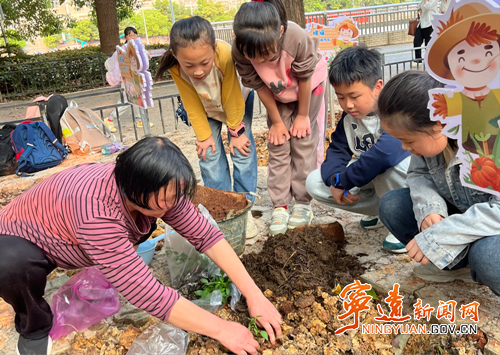 宁远县莲花小学开展劳动实践基地春季种植活动_副本500.png
