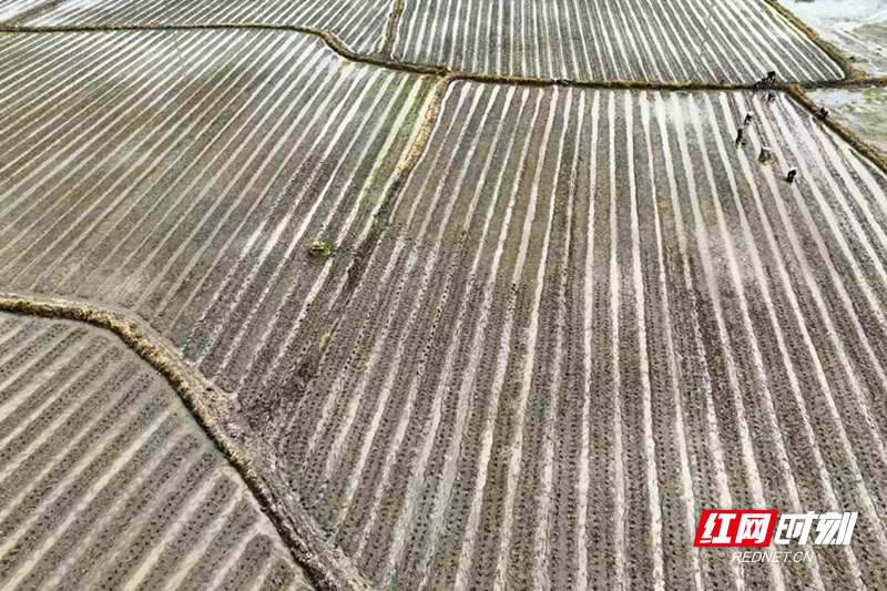 微信图片_20260410164009.jpg 微信图片_20260410164009.jpg