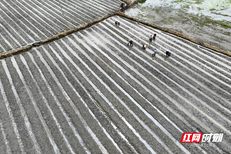 微信图片_20260410164015.jpg 微信图片_20260410164015.jpg