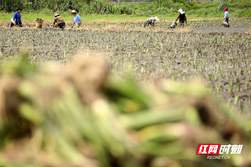 微信图片_20260410164026.jpg 微信图片_20260410164026.jpg