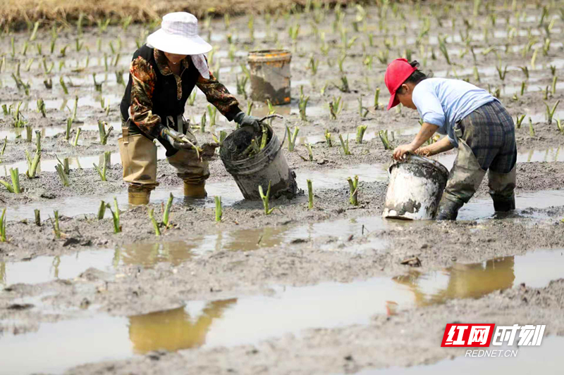 微信图片_20260410164115.jpg 微信图片_20260410164115.jpg