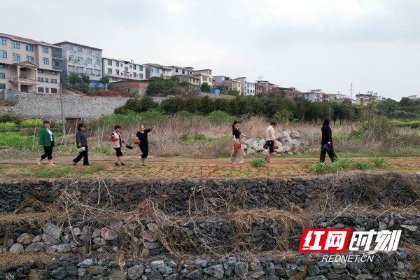 vlcsnap-2026-04-10-08h52m28s581.jpg vlcsnap-2026-04-10-08h52m28s581.jpg