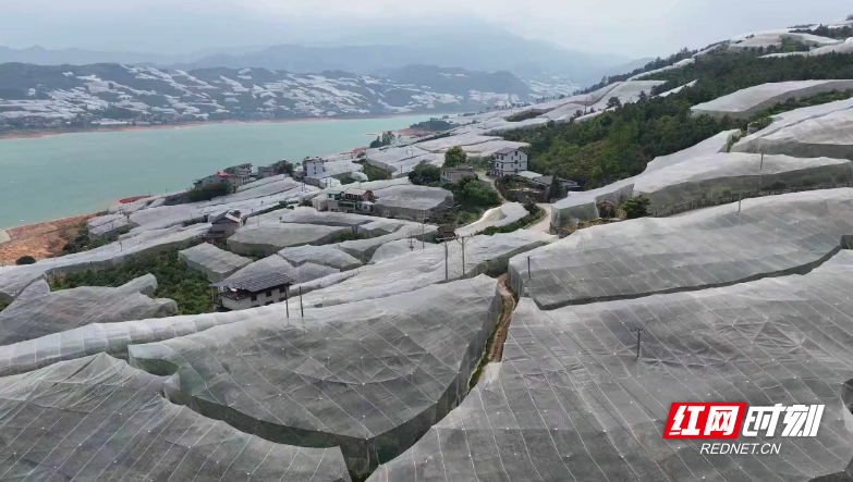 微信图片_20260410144348_20_26.jpg 微信图片_20260410144348_20_26.jpg