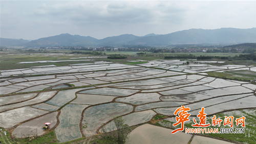 宁远:种粮大户抢抓农时插秧忙_副本500.jpg 宁远:种粮大户抢抓农时插秧忙_副本500.jpg