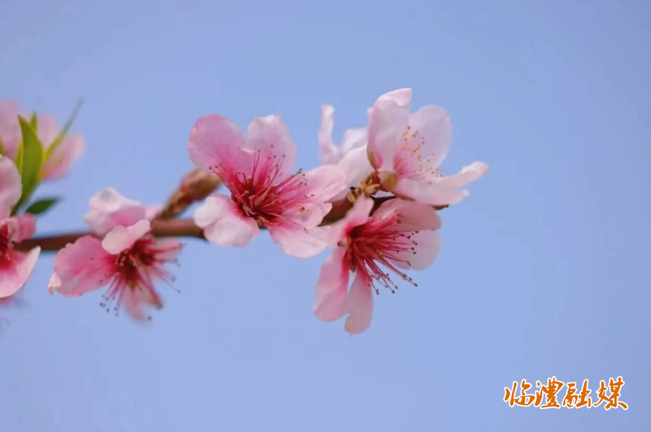 ScreenShot_2026-04-10_145240_342.png