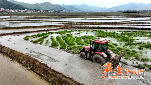 宁远:种粮大户抢抓农时插秧忙4_副本500.jpg 宁远:种粮大户抢抓农时插秧忙4_副本500.jpg
