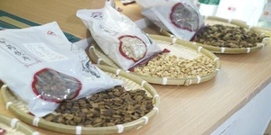 湖南致力打造我国最大中药材种质资源库