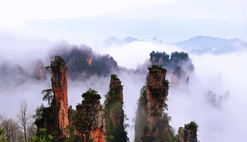 张家界天子山：峰林云海藏仙境 世界遗产展新颜