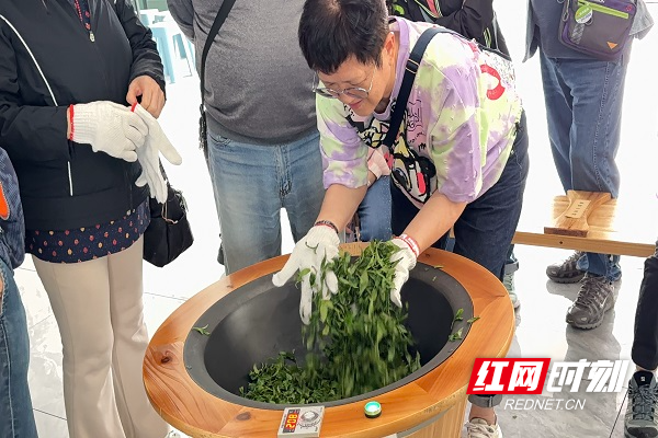 2026-04-11 113415.jpg