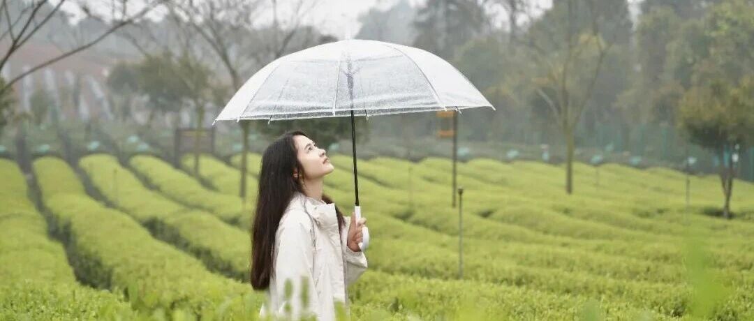 这五家宝藏打卡地，采茶、拍照、遛娃全安排