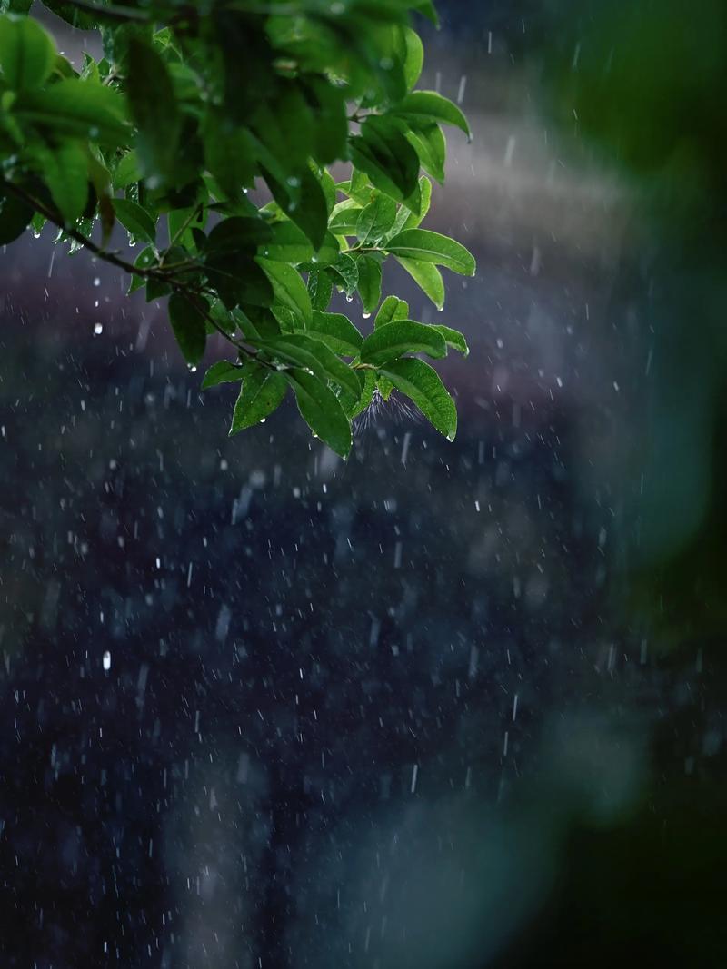  湘北湘中暴雨来袭！湖南省应急委办公室发布汛情提醒