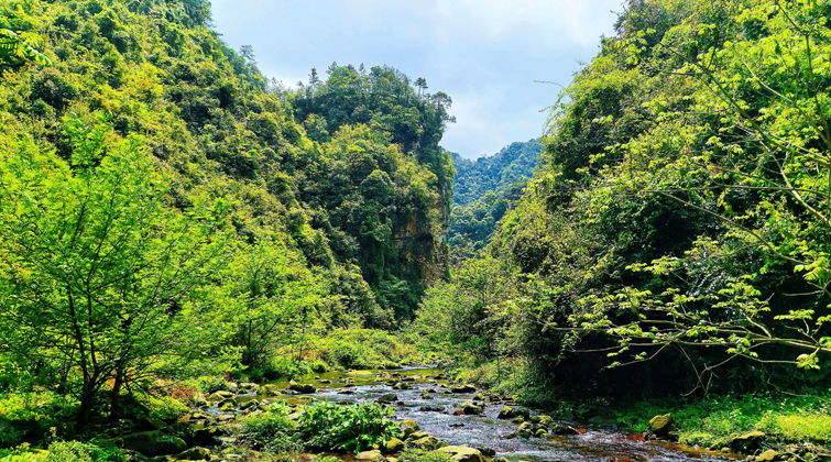 人间四月天，踏青白虎堂