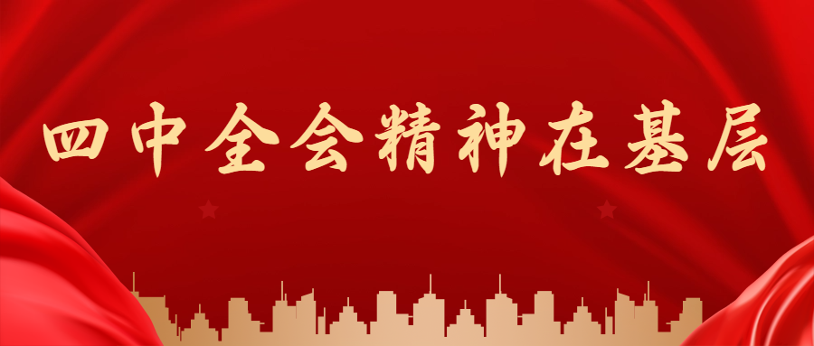四中全会精神在基层