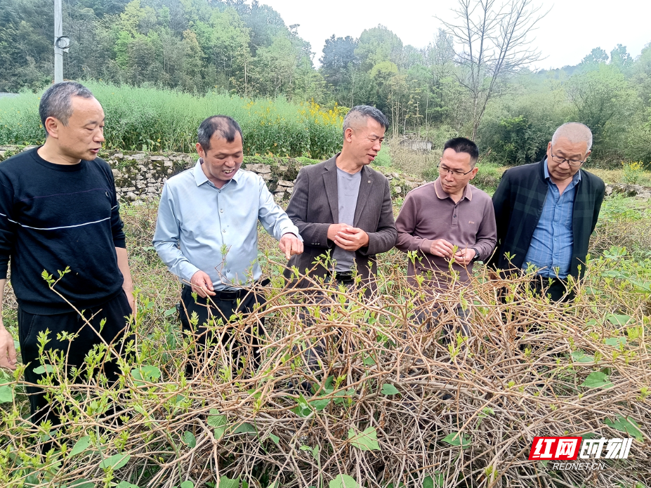 0fc151cc6daf154a2d973ec26ca759cb.jpg 0fc151cc6daf154a2d973ec26ca759cb.jpg