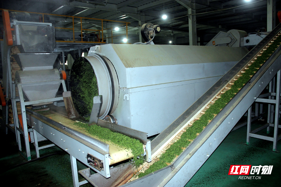 IMG_0802.JPG IMG_0802.JPG