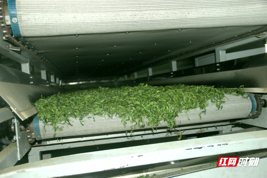 IMG_0797.JPG IMG_0797.JPG