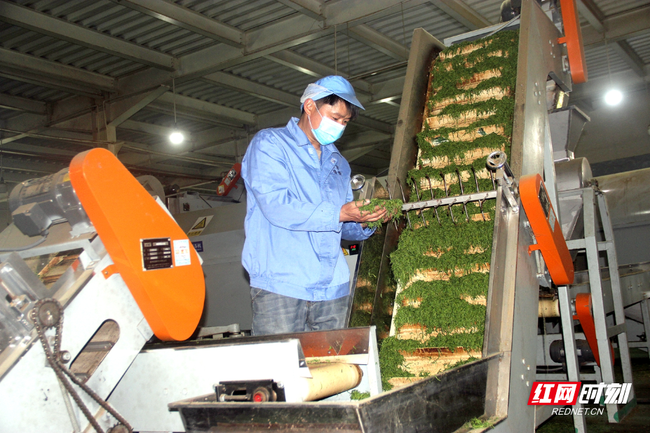 IMG_0799.JPG IMG_0799.JPG