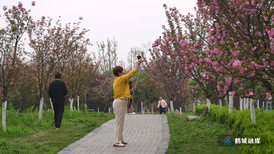 粟裕公园：春风送暖花满枝 樱花盛放醉游人.mp4_20260413_161323.229.jpg
