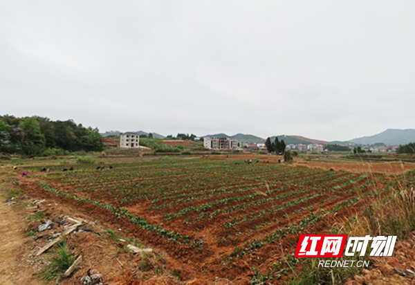 62406bfd732143a5a72efc3ad61f3ad0.jpg 62406bfd732143a5a72efc3ad61f3ad0.jpg