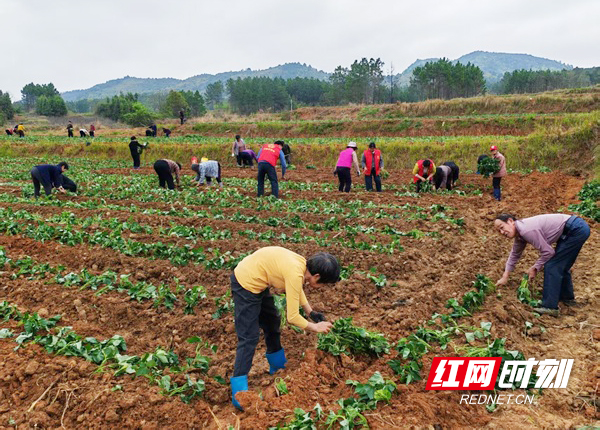 f01101e18630401d8fa0e30ed8aa6995.jpg f01101e18630401d8fa0e30ed8aa6995.jpg