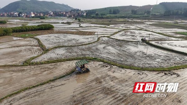 DJI_20260409165155_0287_D.JPG DJI_20260409165155_0287_D.JPG