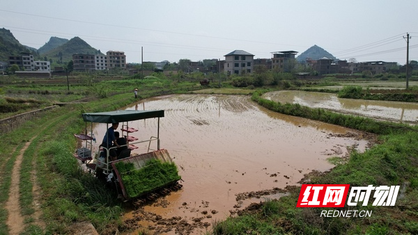 DJI_0780.JPG DJI_0780.JPG