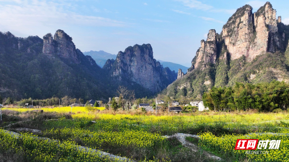 微信图片_20260413091553_2129_214.jpg 微信图片_20260413091553_2129_214.jpg