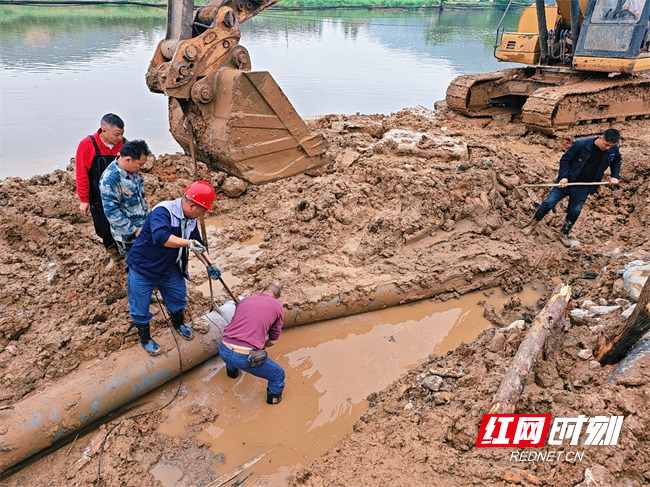 图片1.jpg 图片1.jpg