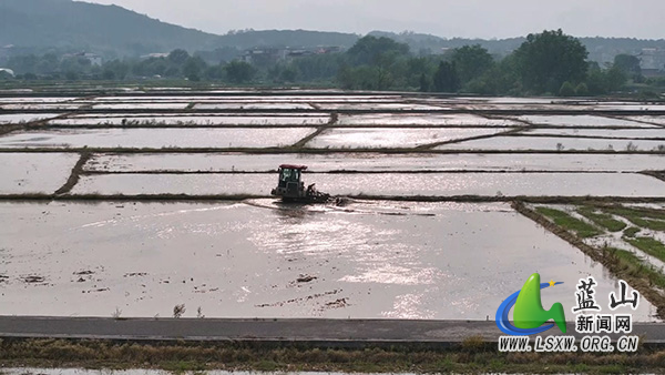 美丽蓝山:河畔沃野春耕忙 白鹭翩跹入画来2.jpg