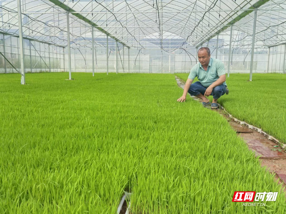 图片15.png 图片15.png